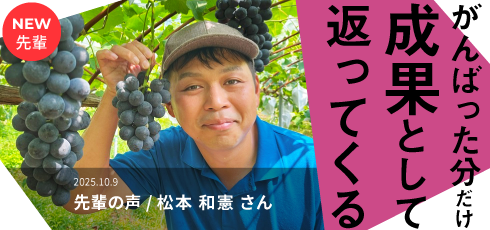 頑張った分だけ成果として返ってくる