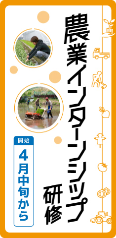 農業インターンシップ研修