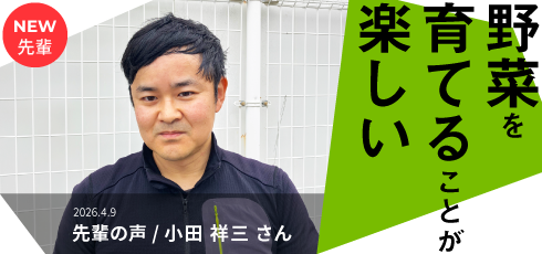 野菜を育てることは楽しい