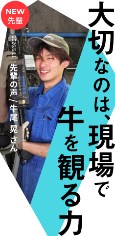 大切な現場で牛を観る力