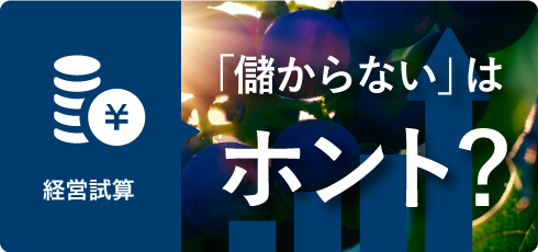 経営試算