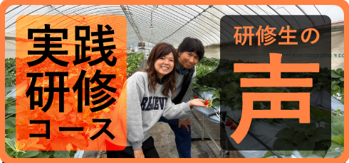 研修生の声