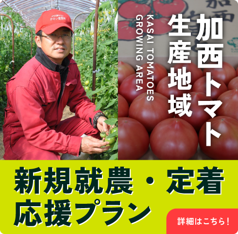 加西トマト生産地域就農・定着応援プラン
