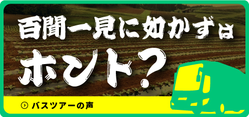 百聞は一見に如かず本当？