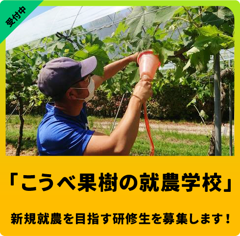 「こうべ果樹の就農学校」を開講！～新規就農を目指す研修生を募集します～