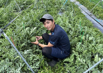 すいかを栽培する田中健一氏写真