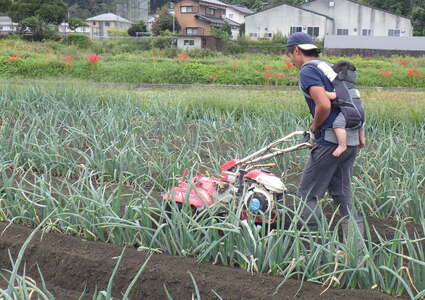 田中健一氏写真（子をおんぶして作業）