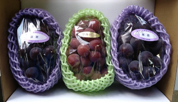 贈答用ぶどうセット