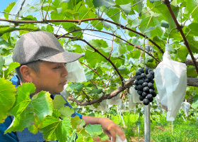 松本和憲氏の写真