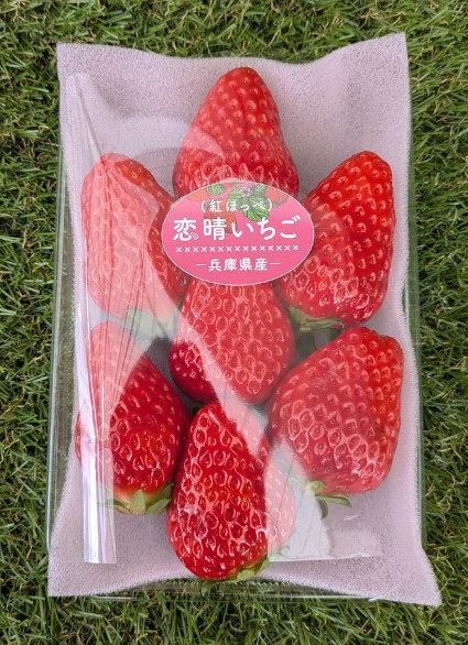 恋晴いちごの写真