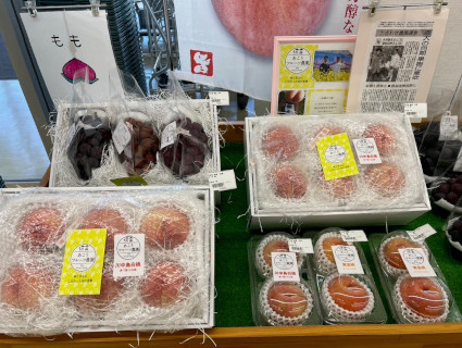 ブドウとモモの写真